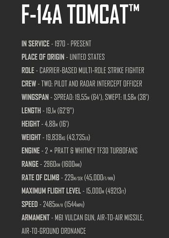 كوبي توب غون جرومان F-14 تومكات بمقياس 1:48 in Kuwait