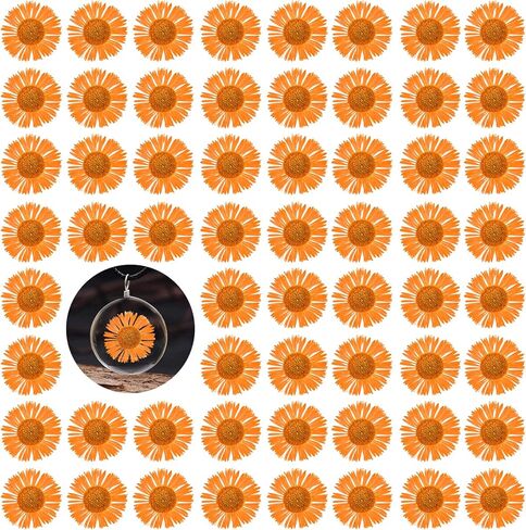 60PCS Dried Flowers for Resin, Orange Pressed Dry Needle Chrysanthemum Flowers for Candle Making Desk Lamp Craft DIY Jewelry Phone Case House Decoration in Saudi Arabia