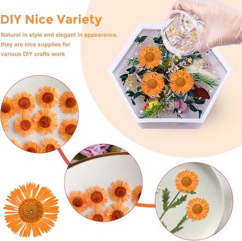 60PCS Dried Flowers for Resin, Orange Pressed Dry Needle Chrysanthemum Flowers for Candle Making Desk Lamp Craft DIY Jewelry Phone Case House Decoration in Saudi Arabia