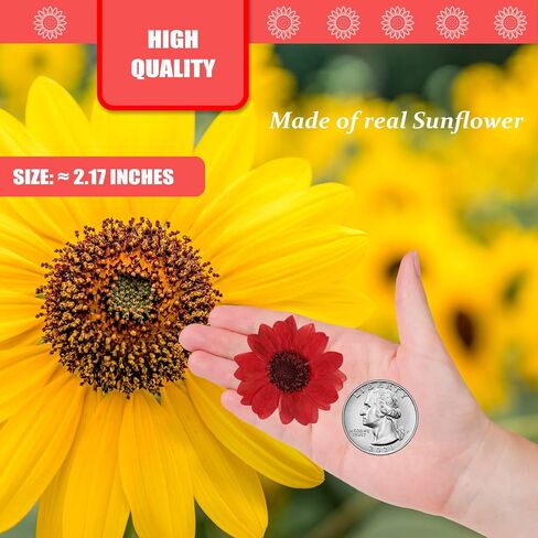 60PCS Natural Small Dried Sunflowers for Resin, Red Real Pressed Sunflower Dry Sunflowers for Crafts DIY Epoxy Resin Mold Jewelry Candle Scrapbooking Card Making Home Wedding Decoration in Saudi Arabia