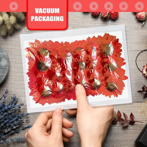 60PCS Natural Small Dried Sunflowers for Resin, Red Real Pressed Sunflower Dry Sunflowers for Crafts DIY Epoxy Resin Mold Jewelry Candle Scrapbooking Card Making Home Wedding Decoration in Saudi Arabia