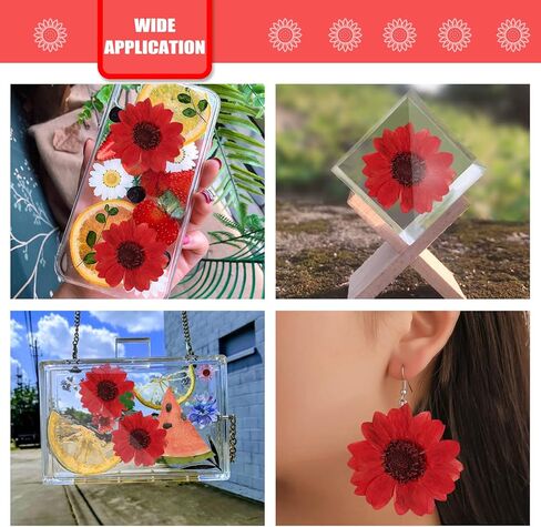 60PCS Natural Small Dried Sunflowers for Resin, Red Real Pressed Sunflower Dry Sunflowers for Crafts DIY Epoxy Resin Mold Jewelry Candle Scrapbooking Card Making Home Wedding Decoration in Saudi Arabia