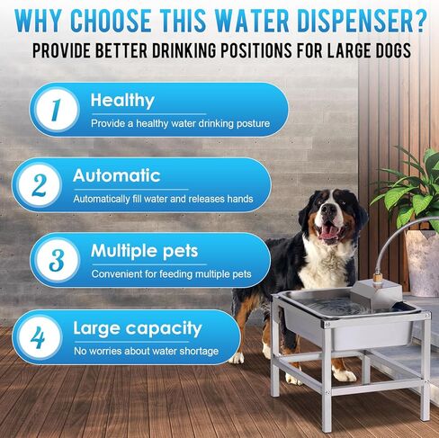 موزع وعاء الماء التلقائي للكلاب 3 جال للكلاب الكبيرة في الهواء الطلق وعاء ماء مرتفع للكلاب مع حامل، سقي الحيوانات الأليفة من الفولاذ المقاوم للصدأ مع صمام تعويم للماشية من سلالات الماعز الكبيرة in Kuwait