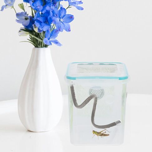 BESPORTBLE Reptile Climbing Branch with Suction Cups Artificial Vine 0.5m for Hermit Crab Gecko Snake Habitat Tank Decoration in Saudi Arabia