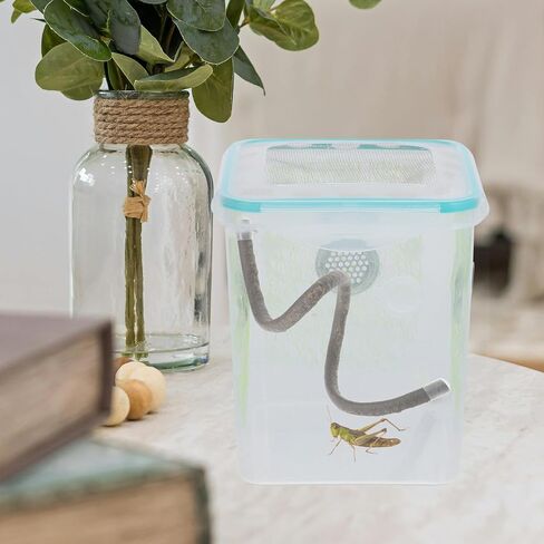 BESPORTBLE Reptile Climbing Branch with Suction Cups Artificial Vine 0.5m for Hermit Crab Gecko Snake Habitat Tank Decoration in Saudi Arabia