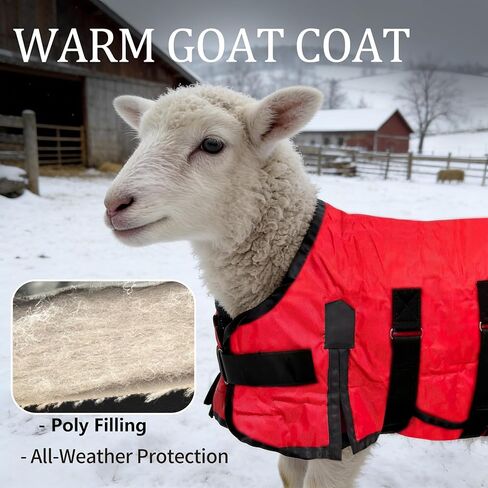 Goat Winter Blanket, Thicken Warm, Waterproof Goats Jacket, with Belly Wrap Adjustable Cold Weather Coat for Goats, Sheep, Calf, Pets&Livestock (Red, S) in Saudi Arabia