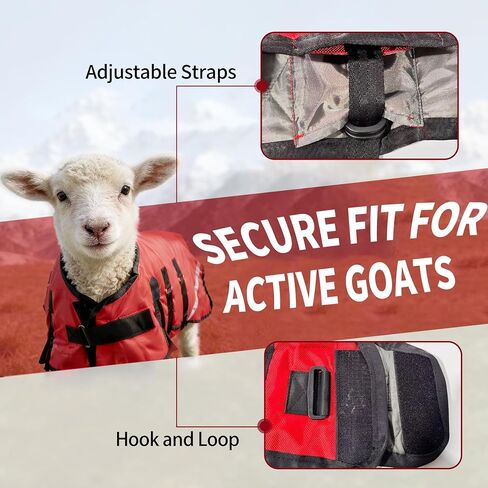 Goat Winter Blanket, Thicken Warm, Waterproof Goats Jacket, with Belly Wrap Adjustable Cold Weather Coat for Goats, Sheep, Calf, Pets&Livestock (Red, S) in Saudi Arabia