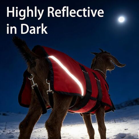 Goat Winter Blanket, Thicken Warm, Waterproof Goats Jacket, with Belly Wrap Adjustable Cold Weather Coat for Goats, Sheep, Calf, Pets&Livestock (Red, S) in Saudi Arabia