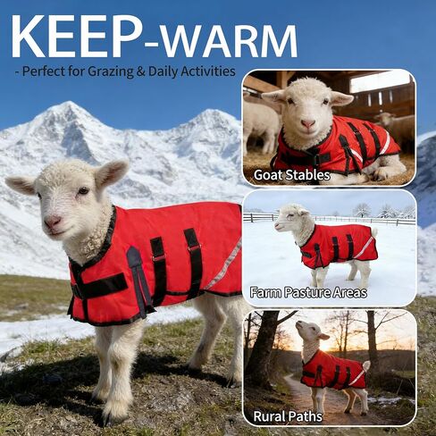 Goat Winter Blanket, Thicken Warm, Waterproof Goats Jacket, with Belly Wrap Adjustable Cold Weather Coat for Goats, Sheep, Calf, Pets&Livestock (Red, S) in Saudi Arabia