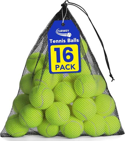 Tennis Balls for Dogs 16 Pack,2.5 inches,Durable and Non-Toxic Dog Toys Balls with Mesh Bag,Colorful Fetch Toys Balls for pet Dog (Non Squeaky) in Kuwait