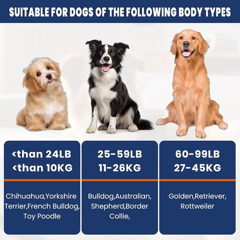 Tennis Balls for Dogs 16 Pack,2.5 inches,Durable and Non-Toxic Dog Toys Balls with Mesh Bag,Colorful Fetch Toys Balls for pet Dog (Non Squeaky) in Kuwait