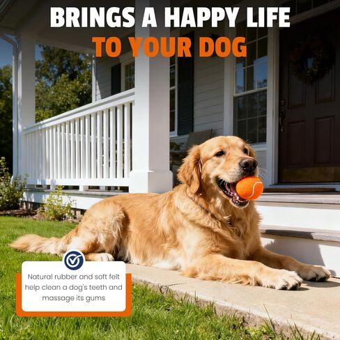 Tennis Balls for Dogs 16 Pack,2.5 inches,Durable and Non-Toxic Dog Toys Balls with Mesh Bag,Colorful Fetch Toys Balls for pet Dog (Non Squeaky) in Kuwait