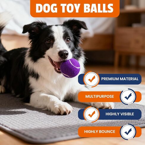Tennis Balls for Dogs 16 Pack,2.5 inches,Durable and Non-Toxic Dog Toys Balls with Mesh Bag,Colorful Fetch Toys Balls for pet Dog (Non Squeaky) in Kuwait