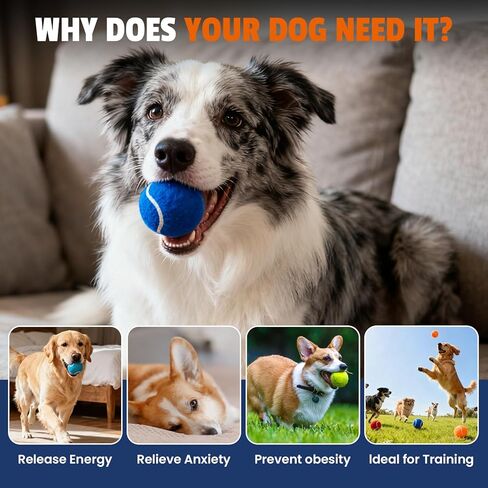Tennis Balls for Dogs 16 Pack,2.5 inches,Durable and Non-Toxic Dog Toys Balls with Mesh Bag,Colorful Fetch Toys Balls for pet Dog (Non Squeaky) in Kuwait
