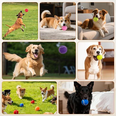 Tennis Balls for Dogs 16 Pack,2.5 inches,Durable and Non-Toxic Dog Toys Balls with Mesh Bag,Colorful Fetch Toys Balls for pet Dog (Non Squeaky) in Kuwait