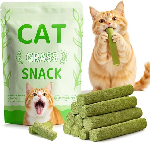 Cat Toys 3Pack Silvervine Chew Stick Kitten Treat Catnip Toy Kitty Natural Stuff Catnip Matatabi for Cleaning Teeth Indoor Dental Snack Interactive in Saudi Arabia