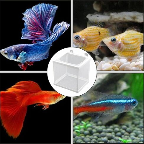 2 Pack Fish Breeder Box for Aquarium,Breeder Box for Fish Tank,Breeding Box for Fish Tank,for Aquarium Juvenile Fishes Separation Net Fry Hatchery with Suction Cups in Saudi Arabia