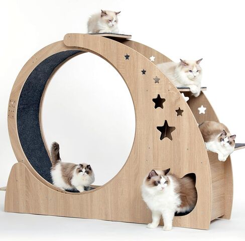 5-in-1 Cat Wheel,Cat Exercise Wheel,41.3" High Large Cat Wheels for Indoor Cats,Cat Treadmill Running Wheel for Indoor Cats with Silent Wheel,Cute Furniture Toys in Saudi Arabia