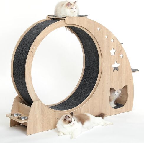 5-in-1 Cat Wheel,Cat Exercise Wheel,41.3" High Large Cat Wheels for Indoor Cats,Cat Treadmill Running Wheel for Indoor Cats with Silent Wheel,Cute Furniture Toys in Saudi Arabia