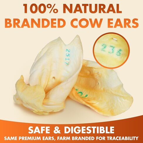 BRUTUS & BARNABY Branded Cow Ears for Dogs – Whole Ears, Thick Cut, Grass-Fed Angus Beef, All-Natural No-Rawhide Dog Treat Alternative (30 Count) in Kuwait
