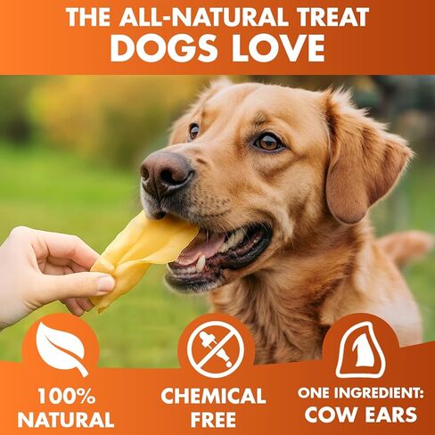 BRUTUS & BARNABY Branded Cow Ears for Dogs – Whole Ears, Thick Cut, Grass-Fed Angus Beef, All-Natural No-Rawhide Dog Treat Alternative (30 Count) in Kuwait