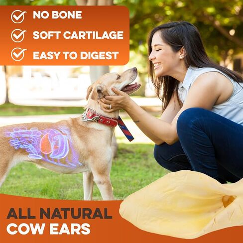 BRUTUS & BARNABY Branded Cow Ears for Dogs – Whole Ears, Thick Cut, Grass-Fed Angus Beef, All-Natural No-Rawhide Dog Treat Alternative (30 Count) in Kuwait