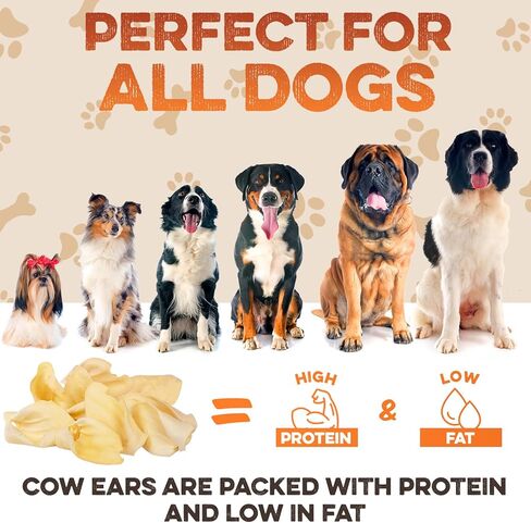 BRUTUS & BARNABY Branded Cow Ears for Dogs – Whole Ears, Thick Cut, Grass-Fed Angus Beef, All-Natural No-Rawhide Dog Treat Alternative (30 Count) in Kuwait
