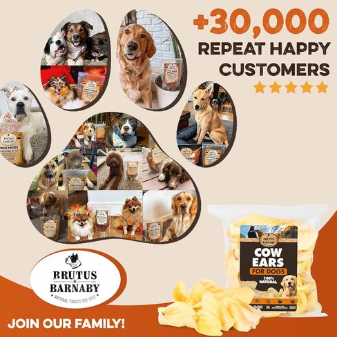 BRUTUS & BARNABY Branded Cow Ears for Dogs – Whole Ears, Thick Cut, Grass-Fed Angus Beef, All-Natural No-Rawhide Dog Treat Alternative (30 Count) in Kuwait