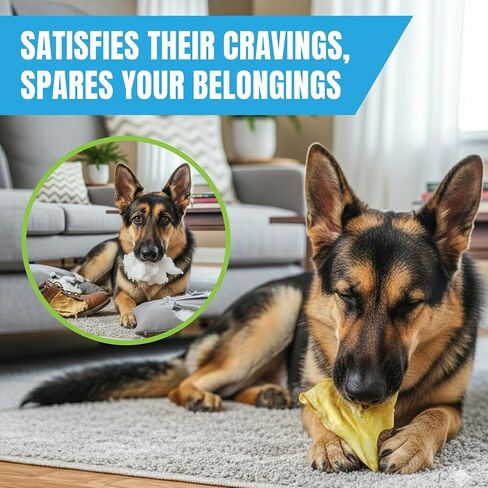 JOR Dog Pig Ears, Slow-Dried High Protein Premium Pork Chews, Easy to Digest Treats for All Canine Breeds & Sizes, Oral Care Support for Pets, with Rich Flavor & Firm Textured Surface, 6 Pcs/Pack in Saudi Arabia