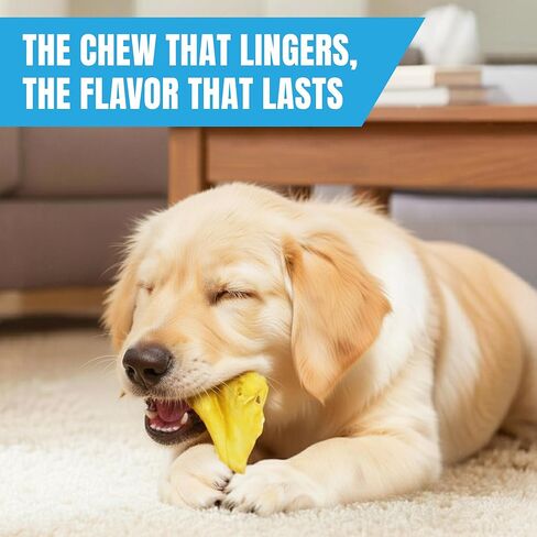 JOR Dog Pig Ears, Slow-Dried High Protein Premium Pork Chews, Easy to Digest Treats for All Canine Breeds & Sizes, Oral Care Support for Pets, with Rich Flavor & Firm Textured Surface, 6 Pcs/Pack in Saudi Arabia