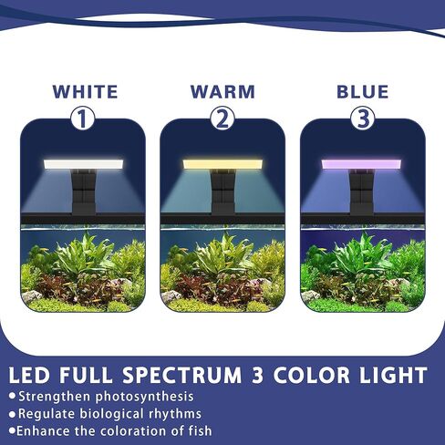 5.3 Gallon Fish Tank, 9 in 1 Betta Fish Tank, Aquarium with LED Full Spectrum 3 Color Light, 3 Modes Filter, Hydroponic Basket, Fishing Net, Shells, Aquatic Plant, Pebbles, Coral, Starter Kit (Black) in Saudi Arabia
