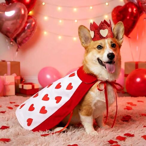 Hillban Valentine's Day Dog Costume Heart Crown and Cape Cover Set Dog Queen Valentines Outfit Heart Cape Hat for Small, Medium, Large Dogs and Pets(M) in Kuwait