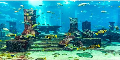 AWERT Undersea Theme Aquarium Background Colorful Coral Tropical Fish Ruins Underwater World Fish Tank Background 48x24 inches Vinyl in Saudi Arabia