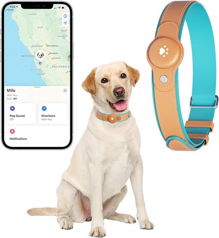 2-in-1 GPS Tracker for Dogs: Smart Twith مع موقع في الوقت الفعلي ، لا توجد رسوم شهرية ، ومجموعة غير محدودة (iOS فقط) طوق الكلاب GPS-مثالي للكلاب الصغيرة الكبيرة المتوسطة (شملت تعقب) (بني) (بني) (بني) in Kuwait