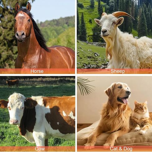 مشط عرف الحصان 2 في 1 مع حامل مشط جلدي، مشط تشذيب المعطف السفلي للماعز والبقر والماشية والحيوانات الأليفة و20 شفرة مقاومة للصدأ ومقبض خشبي in Kuwait