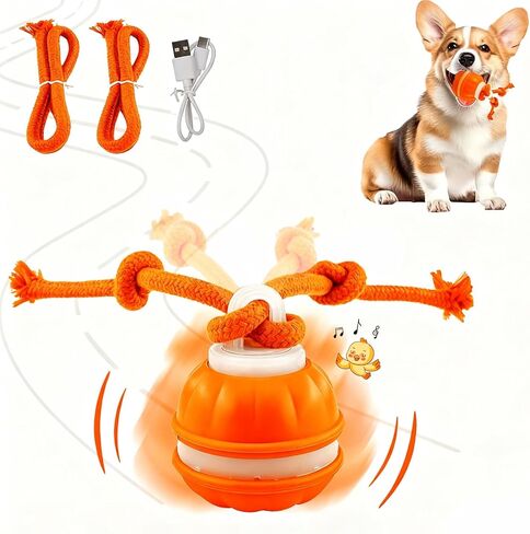 P06 Interactive Dog Toys Dog Balls, Electric Automatic Moving and Rolling Dog Toy with Rope for Small Medium Dogs, Fun Smart Puppy Toy s for Boredom & Training, Dog Toys to Keep Them Busy (Blue) in Saudi Arabia