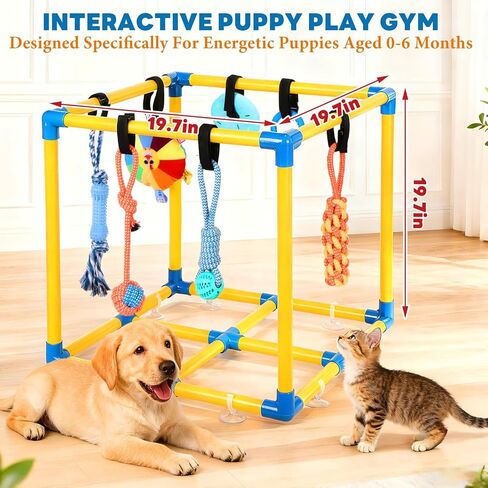 Puppy Play Gym for Small Dogs with 10 Hanging Toys, Removable Indoor Jungle Gym, PVC Frame with Adjustable Bungee Straps, Interactive Dog Toys Tug Toys for Dogs Rope Toy to Keep Them Busy in Saudi Arabia