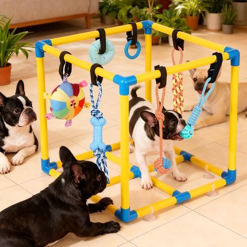 Puppy Play Gym for Small Dogs with 10 Hanging Toys, Removable Indoor Jungle Gym, PVC Frame with Adjustable Bungee Straps, Interactive Dog Toys Tug Toys for Dogs Rope Toy to Keep Them Busy in Saudi Arabia
