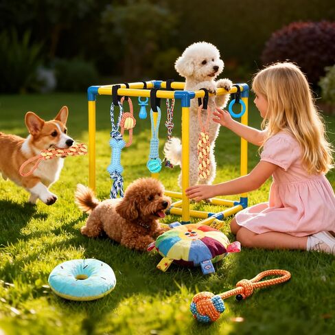 Puppy Play Gym for Small Dogs with 10 Hanging Toys, Removable Indoor Jungle Gym, PVC Frame with Adjustable Bungee Straps, Interactive Dog Toys Tug Toys for Dogs Rope Toy to Keep Them Busy in Saudi Arabia
