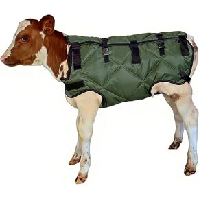 بطانية العجل معاطف الماعز الخضراء لفصل الشتاء، بطانية شتوية للعجول والماعز والكلاب والمهر والحمار مقاومة للرياح مع حماية كاملة للبطن مقاس كبير in Kuwait