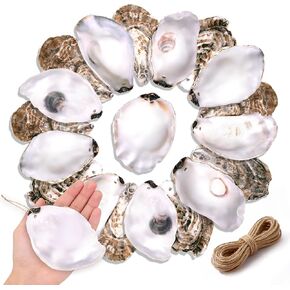 20Pcs Oyster Shells for Crafts,4"-5" Natural Large Flat Oyster Shells with Holes Drilled & Jute Rope for DIY Crafting, Sea Shells Ornaments Decoupage for Beach Home Decor Painting Chicken (20) in Kuwait