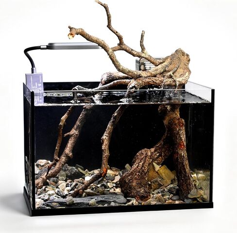 مجموعة حوض سمك صغير سعة 2.8 جالون، حوض أسماك زجاجي، طقم حوض أسماك نانو طبيعي مع فلتر شلال وضوء للمبتدئين والأطفال للحفاظ على أسماك البيتا والسمك الذهبي والروبيان والنباتات المائية in Kuwait