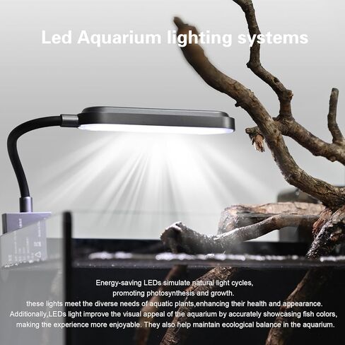 مجموعة حوض سمك صغير سعة 2.8 جالون، حوض أسماك زجاجي، طقم حوض أسماك نانو طبيعي مع فلتر شلال وضوء للمبتدئين والأطفال للحفاظ على أسماك البيتا والسمك الذهبي والروبيان والنباتات المائية in Kuwait