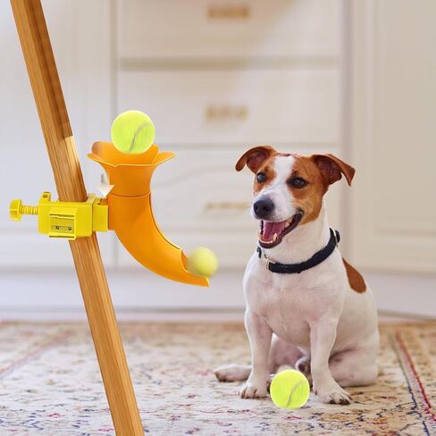 PupOrbit Catapult – مشاركة الحيوانات الأليفة في أوقات التوقف عن العمل | مروحة كروية مخروطية الشكل تتميز بتصميم تفاعلي للخدمة الذاتية وقاعدة ثابتة للمنازل والمطابخ والمناطق الداخلية والأنشطة غير المراقبة in Kuwait