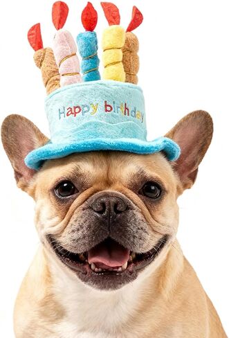 لوازم حفلات أعياد ميلاد الكلاب، قبعة الحفلات مع حزام ذقن مرن، قبعة كعكة قطيفة ناعمة، قبعة للكلاب والقطط جاهزة للصور، تناسب المقاسات الصغيرة/المتوسطة/الكبيرة، زينة وهدايا عيد ميلاد الكلاب (أزرق) in Kuwait
