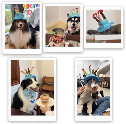 لوازم حفلات أعياد ميلاد الكلاب، قبعة الحفلات مع حزام ذقن مرن، قبعة كعكة قطيفة ناعمة، قبعة للكلاب والقطط جاهزة للصور، تناسب المقاسات الصغيرة/المتوسطة/الكبيرة، زينة وهدايا عيد ميلاد الكلاب (أزرق) in Kuwait