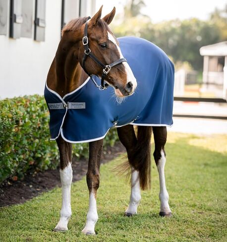 Amigo® Jersey Pony Cooler – Horseware Ireland in Kuwait