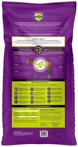 Blue Seal Sentinel Senior SR Feed - Great for Prematurely Aging Horses or Horses with Poor Teeth - 50lb Bag in Saudi Arabia