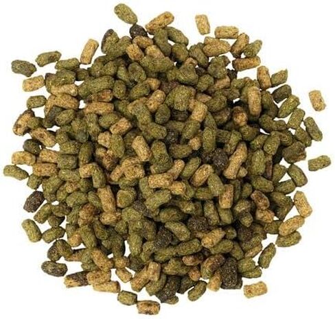 Blue Seal Sentinel Senior SR Feed - Great for Prematurely Aging Horses or Horses with Poor Teeth - 50lb Bag in Saudi Arabia