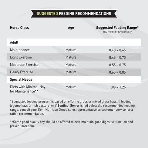 Blue Seal Sentinel Senior SR Feed - Great for Prematurely Aging Horses or Horses with Poor Teeth - 50lb Bag in Saudi Arabia